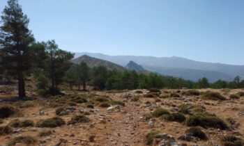 ruta hacia el Cerro Huenes