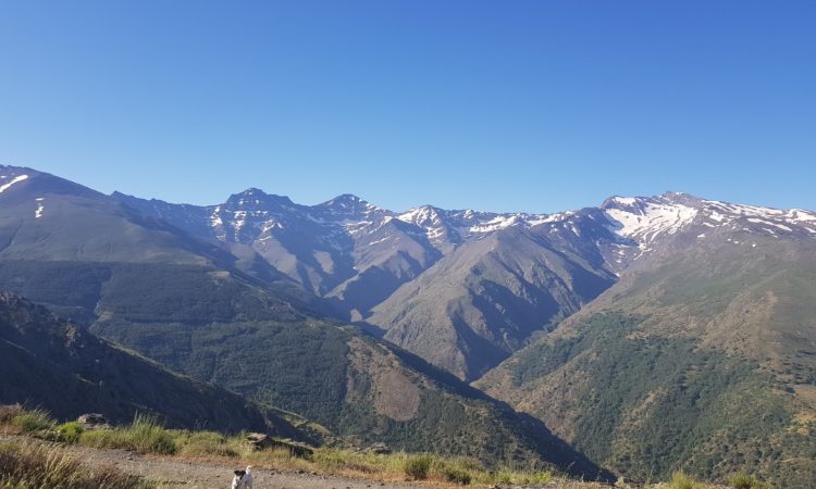 Cumbres en Sierra Nevada