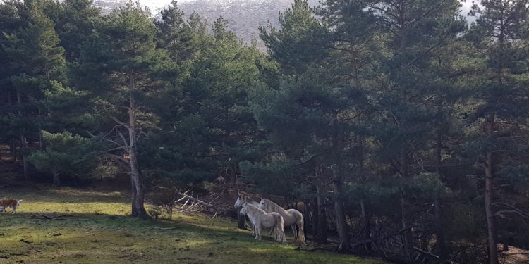 Paisajes en Sierra Nevada