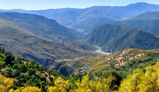 Verano en Sierra Nevada