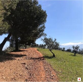 naturaleza en granada