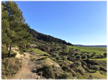 Ruta Cortijo Barranco del Lobo