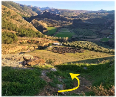 Ruta Cortijo Barranco del Lobo