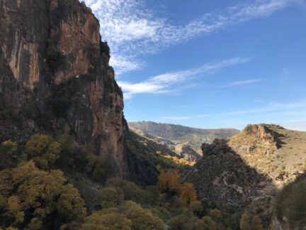 Cahorros vistas