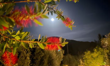 Vista de luna llena desde La Almunia del vAlle