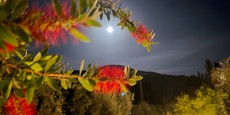 Vista de luna llena desde La Almunia del vAlle